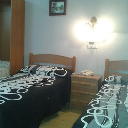 Nogales Noja